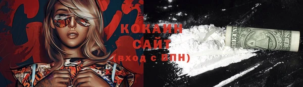 гашик Каменногорск