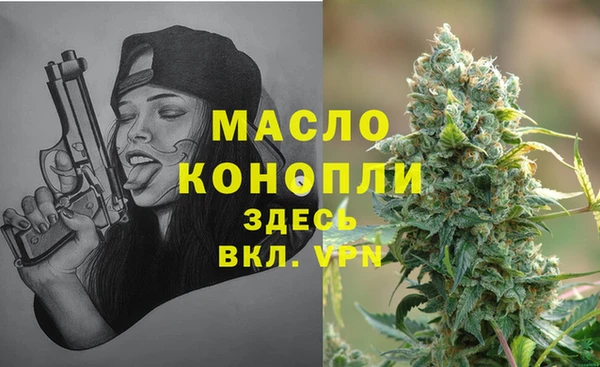 мдпв Каменка