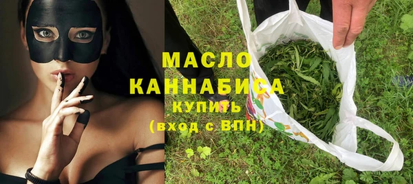 мдпв Каменка