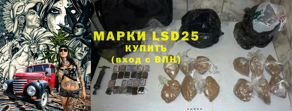 мдпв Каменка