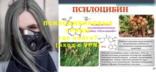 мдпв Каменка