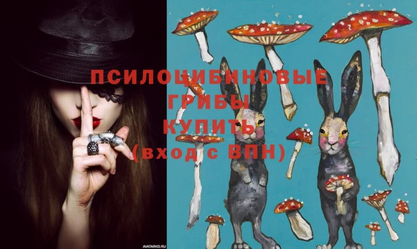 гашик Каменногорск