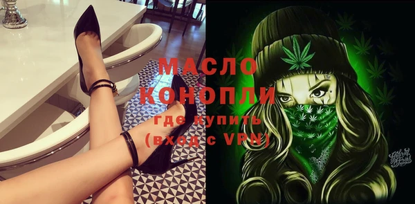 мдпв Каменка
