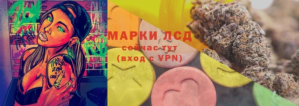 гашик Каменногорск