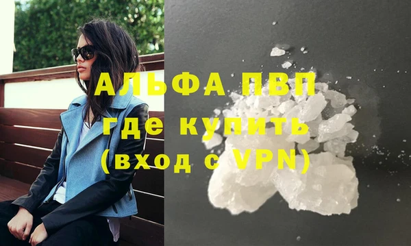 гашик Каменногорск