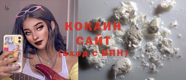 мдпв Каменка