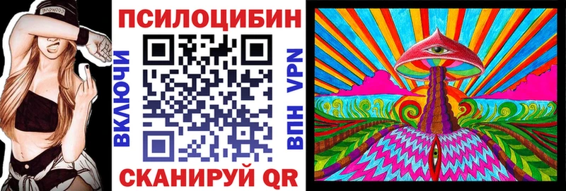 Купить где  Павлово  Галлюциногенные грибы мицелий 