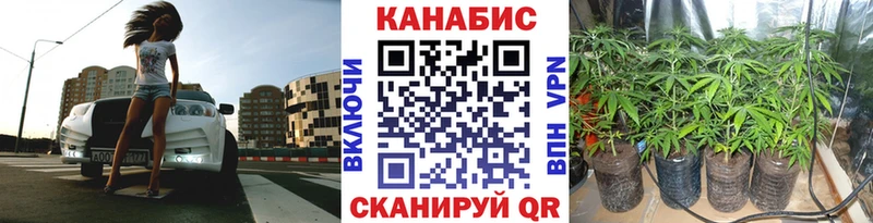 Каннабис семена  Купить  Павлово 